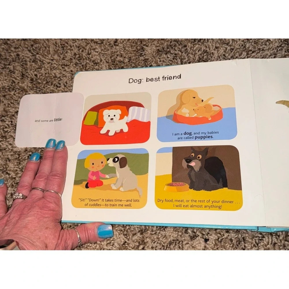 Twirl-Touch and Explore Pets (Board Book)